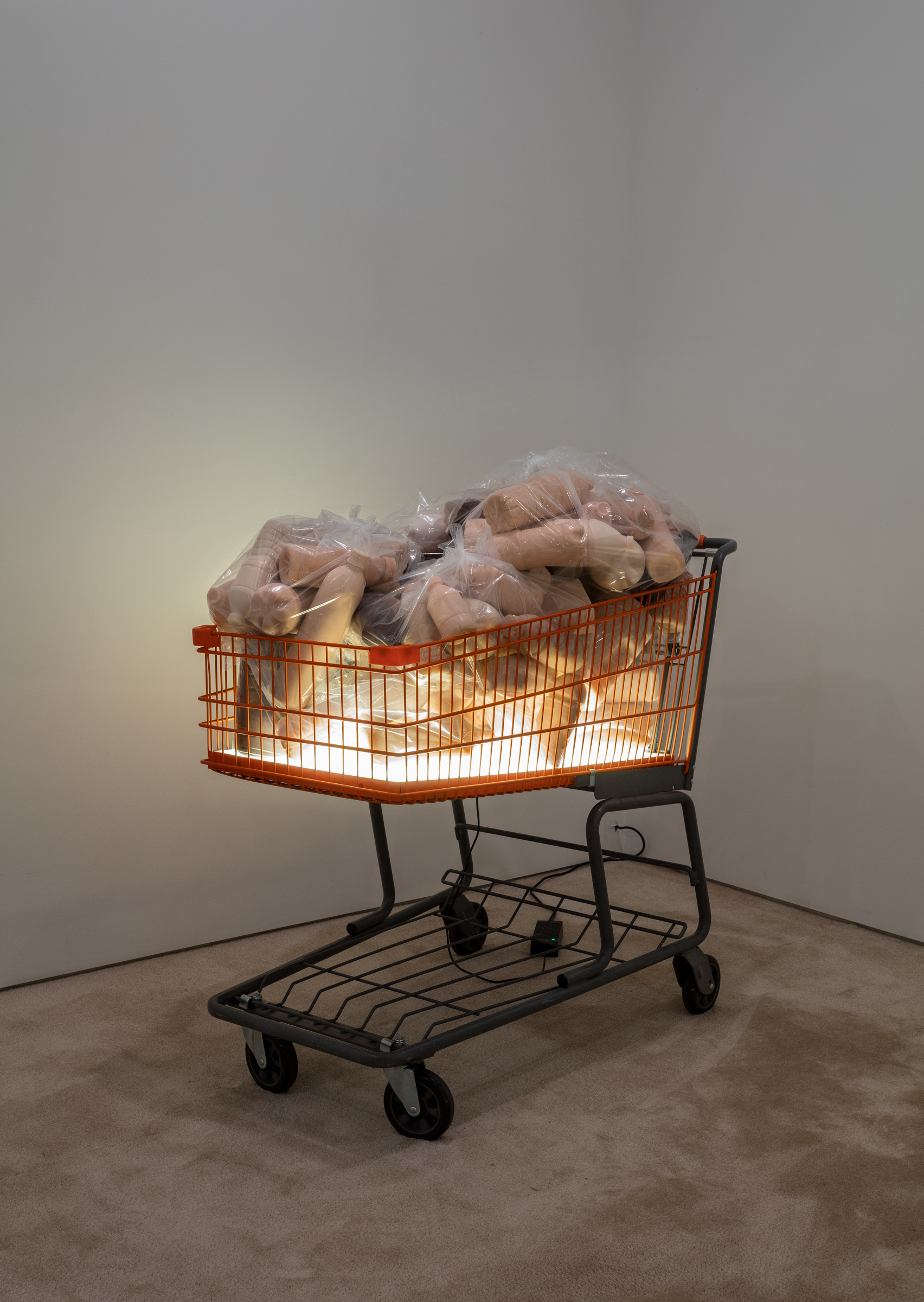 Photography of installation, shopping cart full of cast silicone tube-like objects tied up in clear polyethylene bags. Emanating underneath the bags in the cart, is an angelic, soft glow of warm light. The installation is set in a corner in front of a bare light, gray-white wall, and a light tan carpet.
