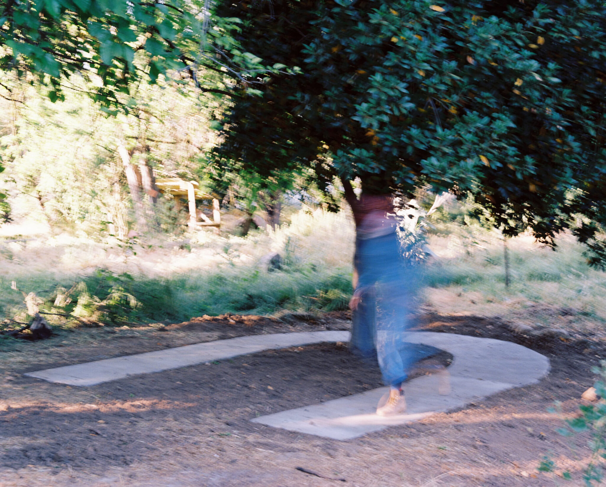 A photograph depicting the installation and performance of Daphne by Zeina Baltagi. Daphne is a bay tree in the middle of a paved cul-de-sac sidewalk in a cleared out dirt patch of a wooded area. The images include Zeina Baltagi in motion, walking on the sidewalk. She is wearing blue Lee Can't Bust Em 1940s Union cover-alls, tan work boots, and a red and white patterned keffiyeh scarf around her neck which covers her nose and mouth.